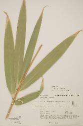 © Landcare Research 